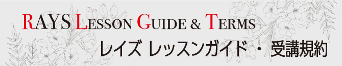 RAYS Lesson Guide